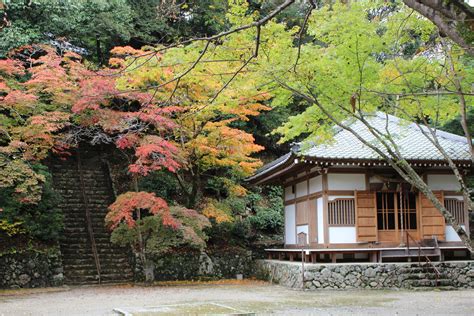 神峰山寺|大阪高槻市 日本最初毘沙門天 神峯山寺 Kabusanji